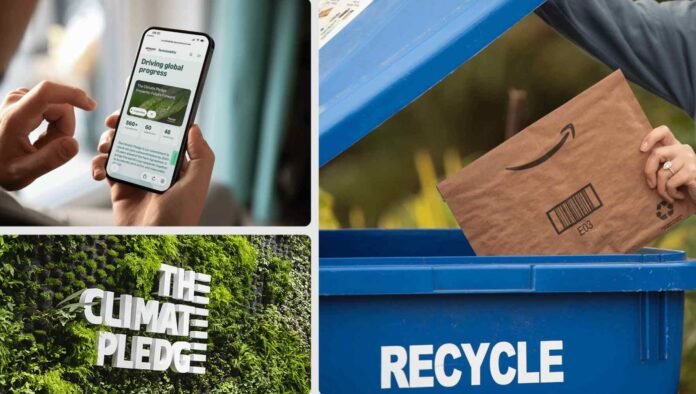 Six Simple Ways to Shop More Sustainably on Amazon